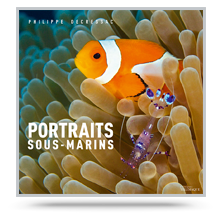 couv-kit-portraits-sous-marins-decressac