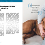 Est-il vrai que les chiens peuvent « sentir » le cancer ?