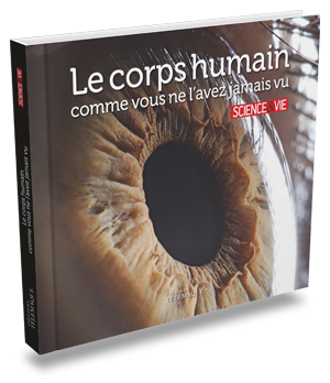 Le corps humain comme<br>vous ne l’avez jamais vu