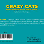 Quatrième de couverture Crazy cats