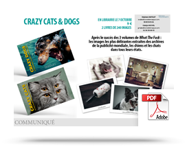 Télécharger le communiqué de presse de Crazy Cats, les chats les plus poilants de la publicité mondiale