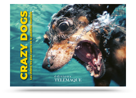 Télécharger les visuels de couverture de Crazy dogs, les chiens les plus cabots de la publicité mondiale