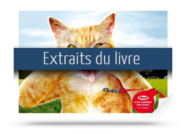 Télécharger les extraits de Crazy Cats, les chats les plus poilants de la publicité mondiale