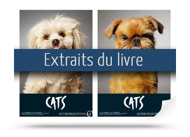 Télécharger les extraits de Crazy dogs, les chiens les plus cabots de la publicité mondiale