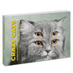 Couverture en volume de Crazy cats