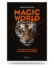 Télécharger la couverture de Magic World d'Arnaud de Senilhes