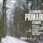 Eco Keys #2 extrait : la dernière forêt primaire d'Europe