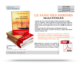 Télécharger le communiqué de presse de Sang des miroirs par Michel Fessler