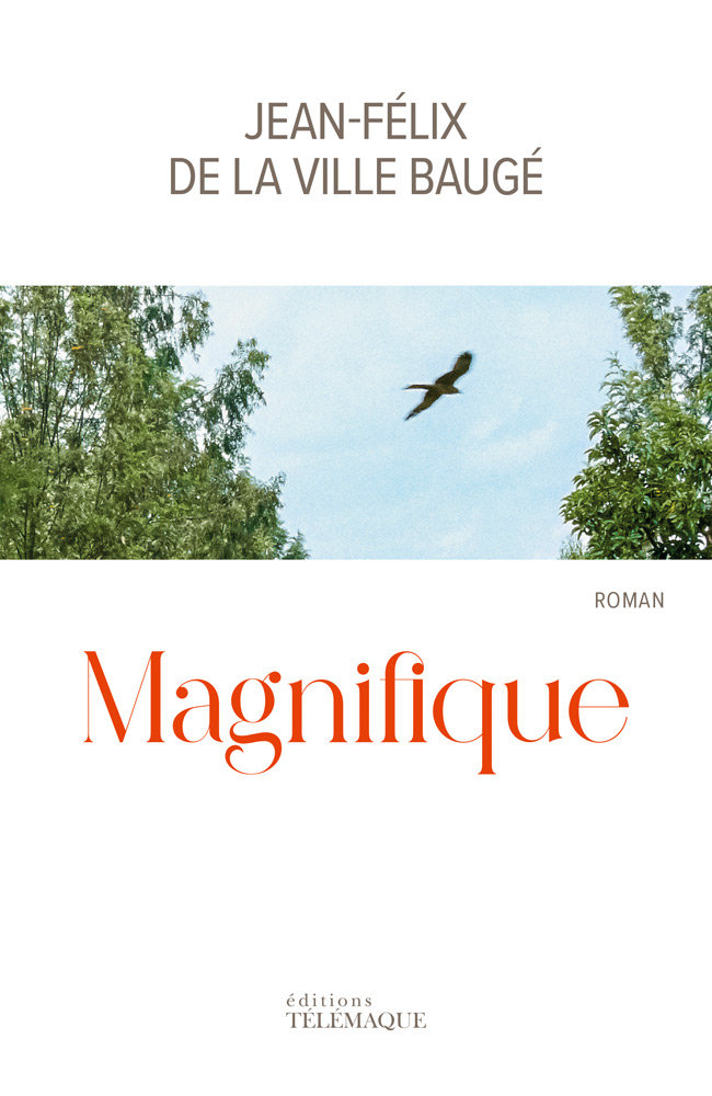 Première de couverture de "Magnifique" de Jean-Félix de La Ville Baugé