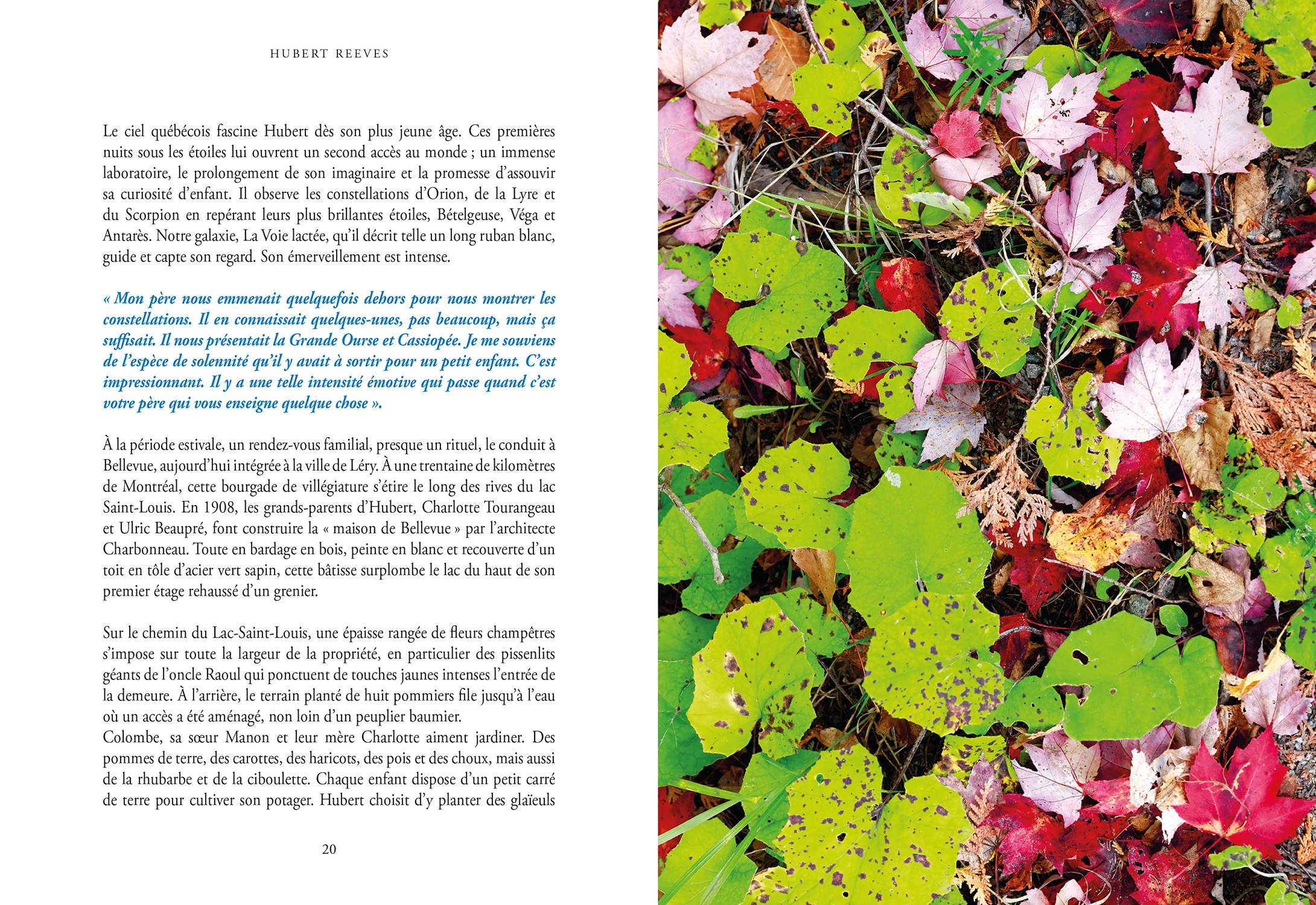 Le terreau de son enfance