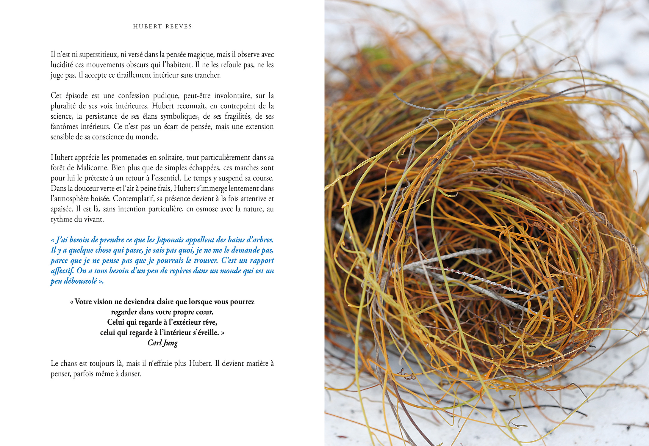 L’introspection en toile de fond