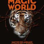 Première de couverture de Magic World d'Arnaud de Senilhes